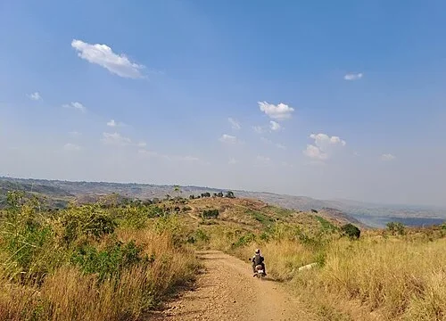 Ultimate Wilderness Odyssey - 16-Day Uganda Safari